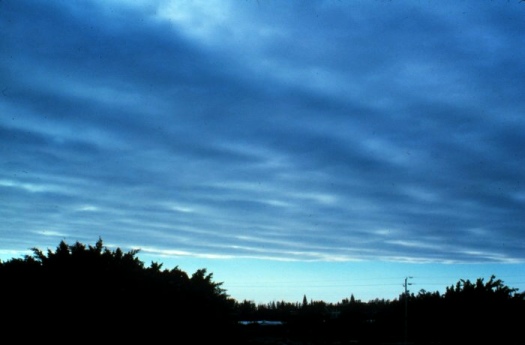 Stratocumulus Clouds Facts